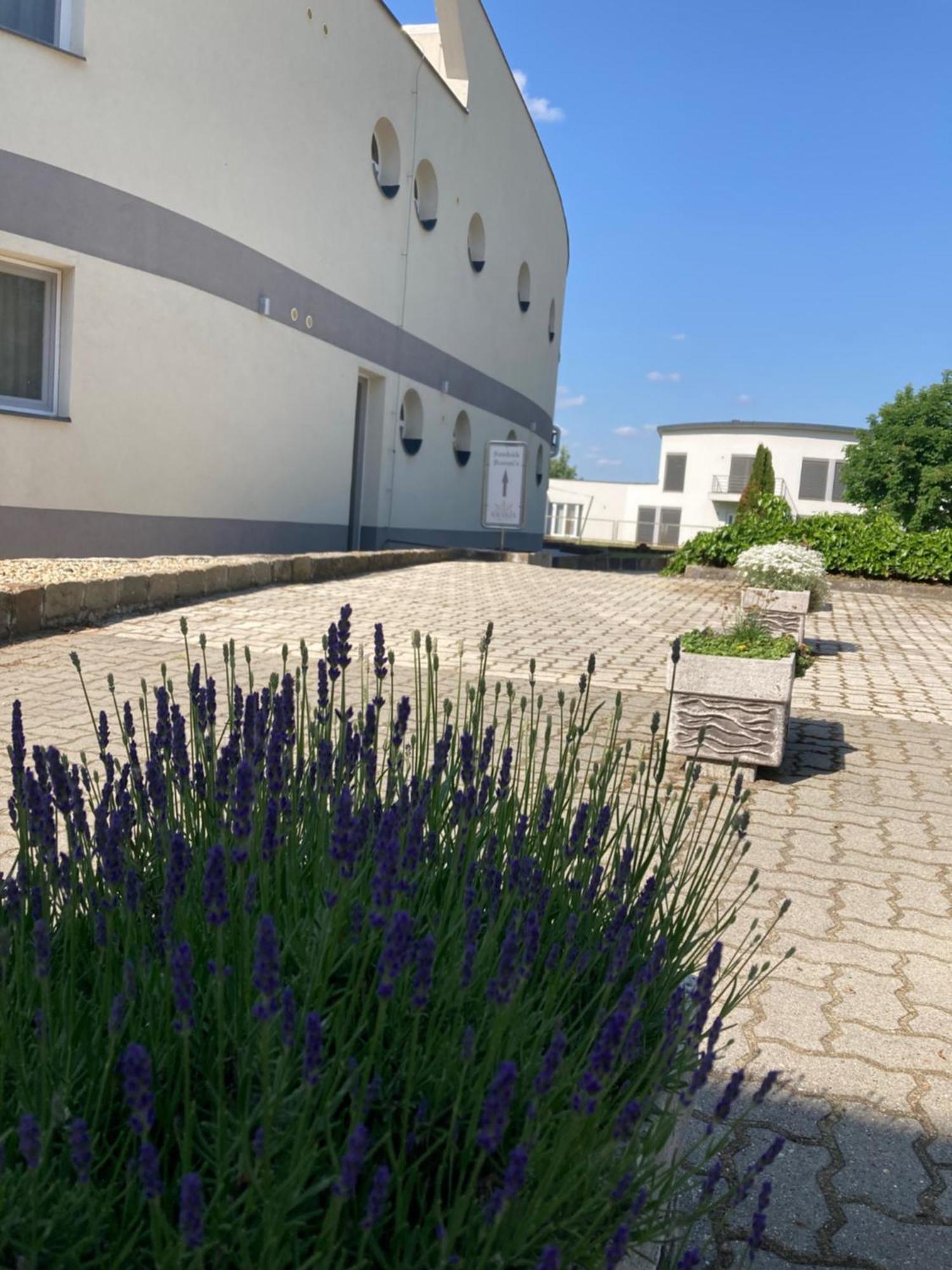 Nautilus Étterem és Panzió Hotel Dabas Exterior foto